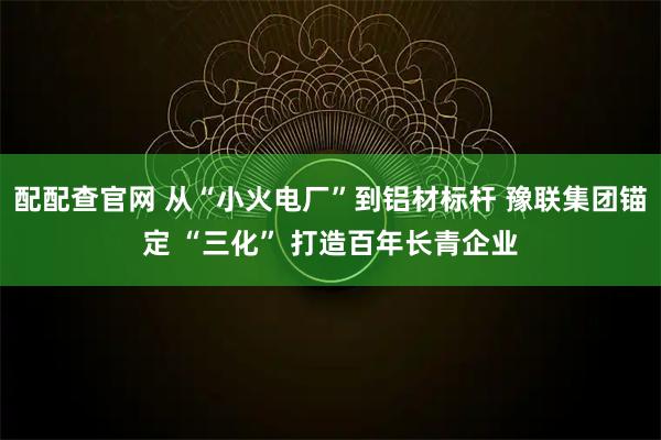 配配查官网 从“小火电厂”到铝材标杆 豫联集团锚定 “三化” 打造百年长青企业