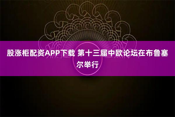 股涨柜配资APP下载 第十三届中欧论坛在布鲁塞尔举行
