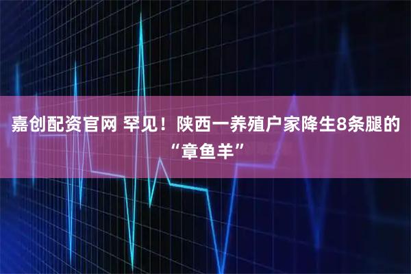 嘉创配资官网 罕见！陕西一养殖户家降生8条腿的“章鱼羊”